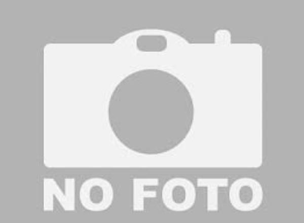 نماینده تهران