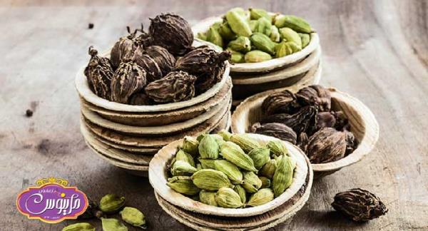 تمامی نکاتی که درباره خرید هل باید بدانید